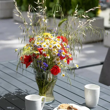 The Terrace Lounge By Rv Warna