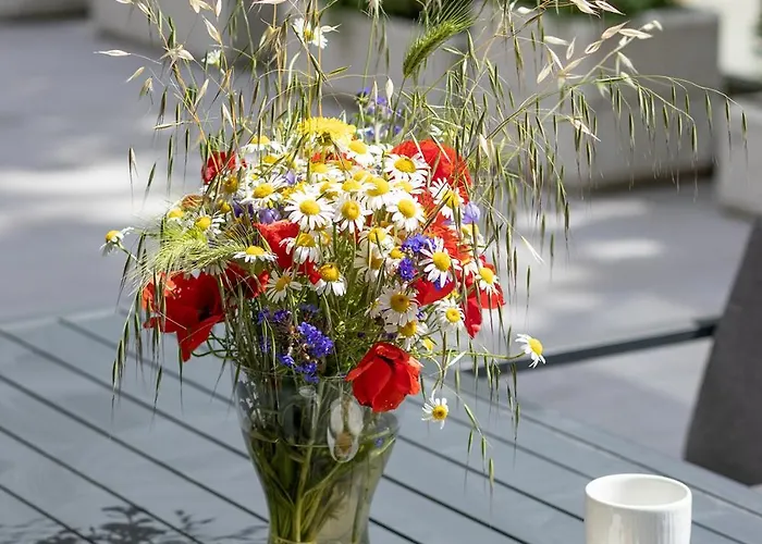 The Terrace Lounge By Rv Varna